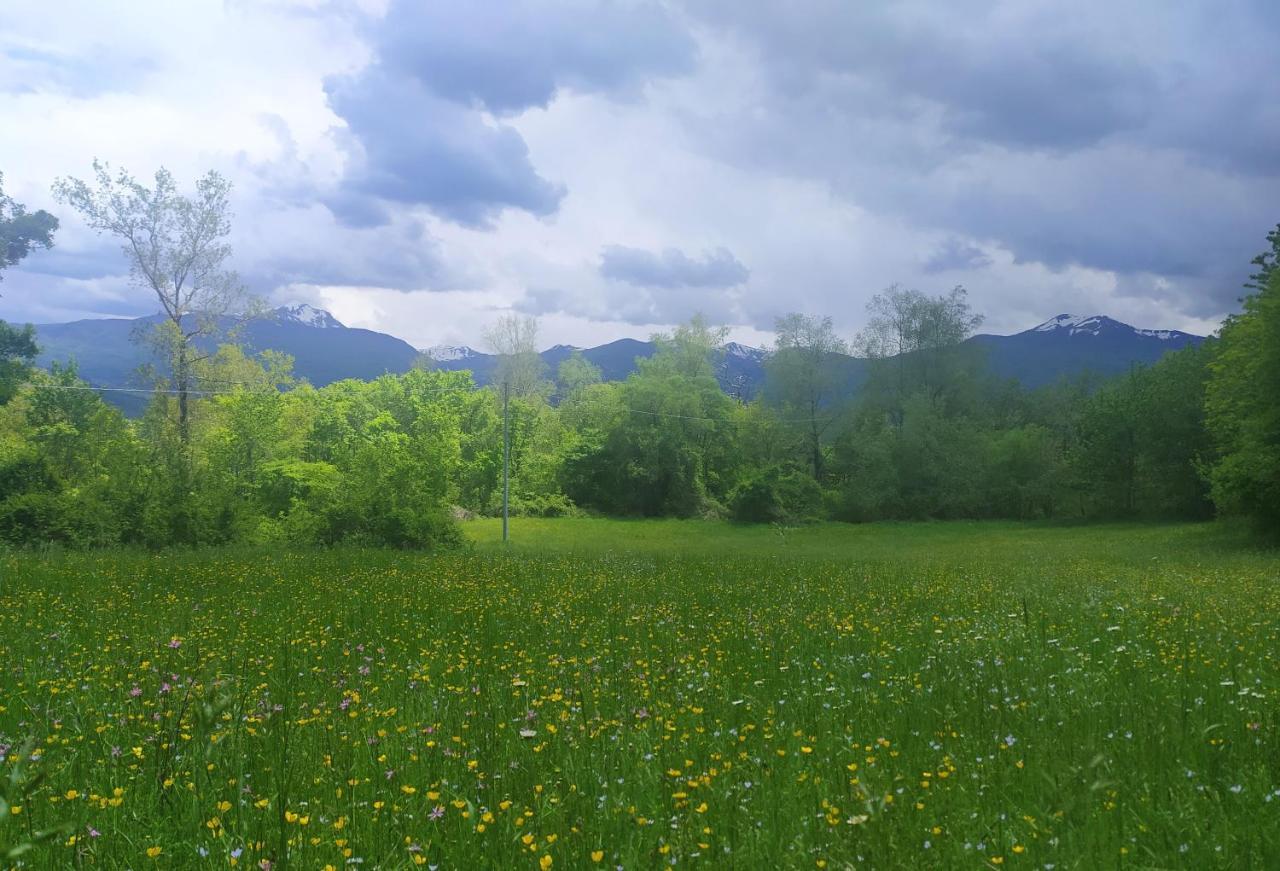 Agriturismo Rio Ricco Busana Zewnętrze zdjęcie