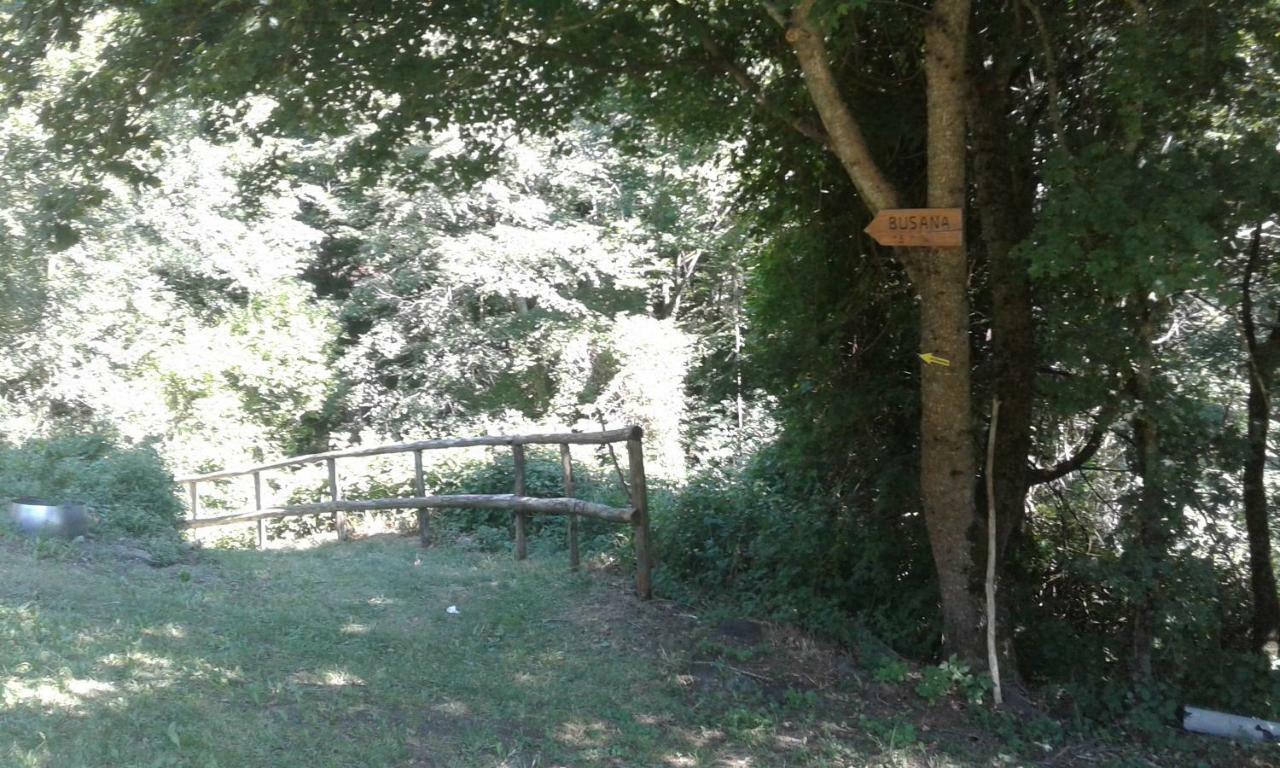 Agriturismo Rio Ricco Busana Zewnętrze zdjęcie