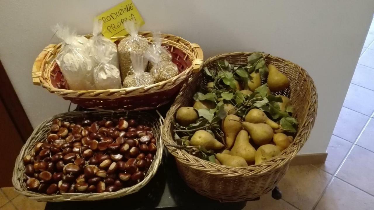 Agriturismo Rio Ricco Busana Zewnętrze zdjęcie