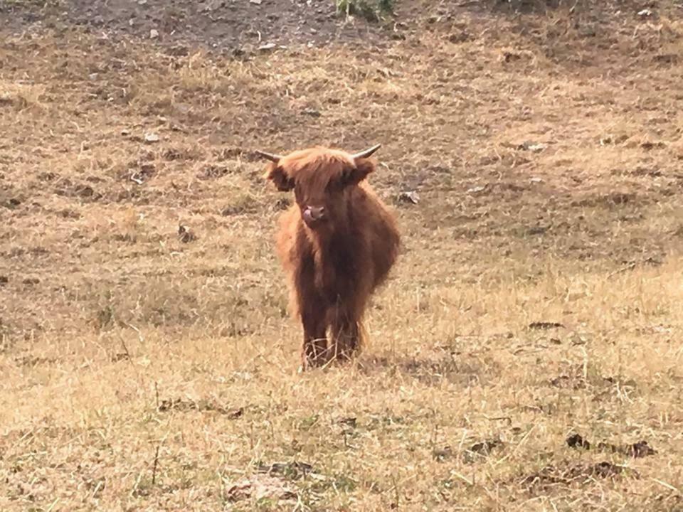 Agriturismo Rio Ricco Busana Zewnętrze zdjęcie