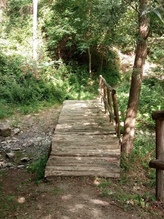 Agriturismo Rio Ricco Busana Zewnętrze zdjęcie