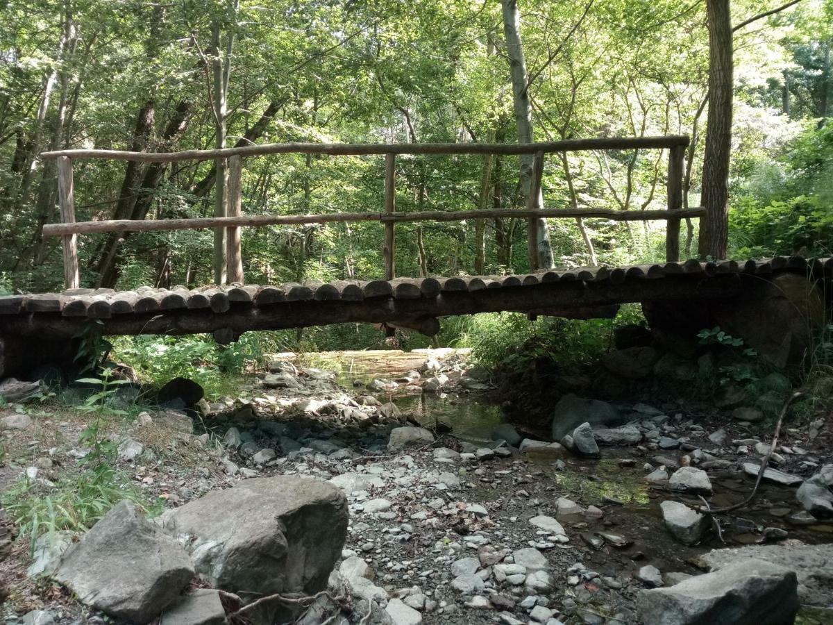 Agriturismo Rio Ricco Busana Zewnętrze zdjęcie